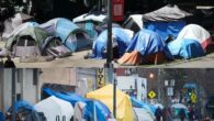 Here are two very interesting and similar questions. What’s your opinion? Are more people moving to, or moving from liberal cities? What about you, would you prefer to move to […]